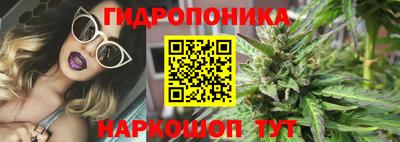 Альфа ПВП Гусиноозёрск